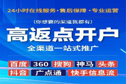 SEM广告案例：数据分析驱动营销决策